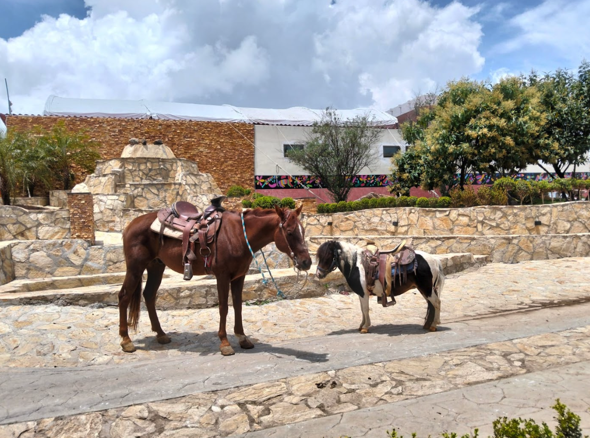 Experiencias al Aire Libre